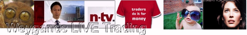 leverage2009b