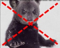 http://img.godmode-trader.de/charts/3/2011/11/ziob029c.jpg